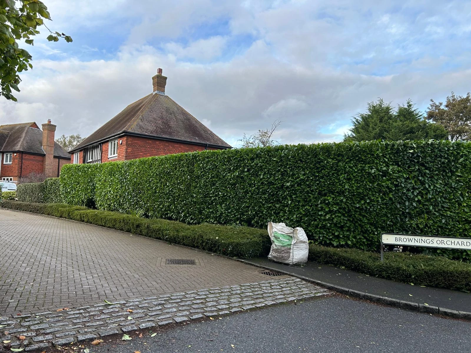 Hedge Trimming