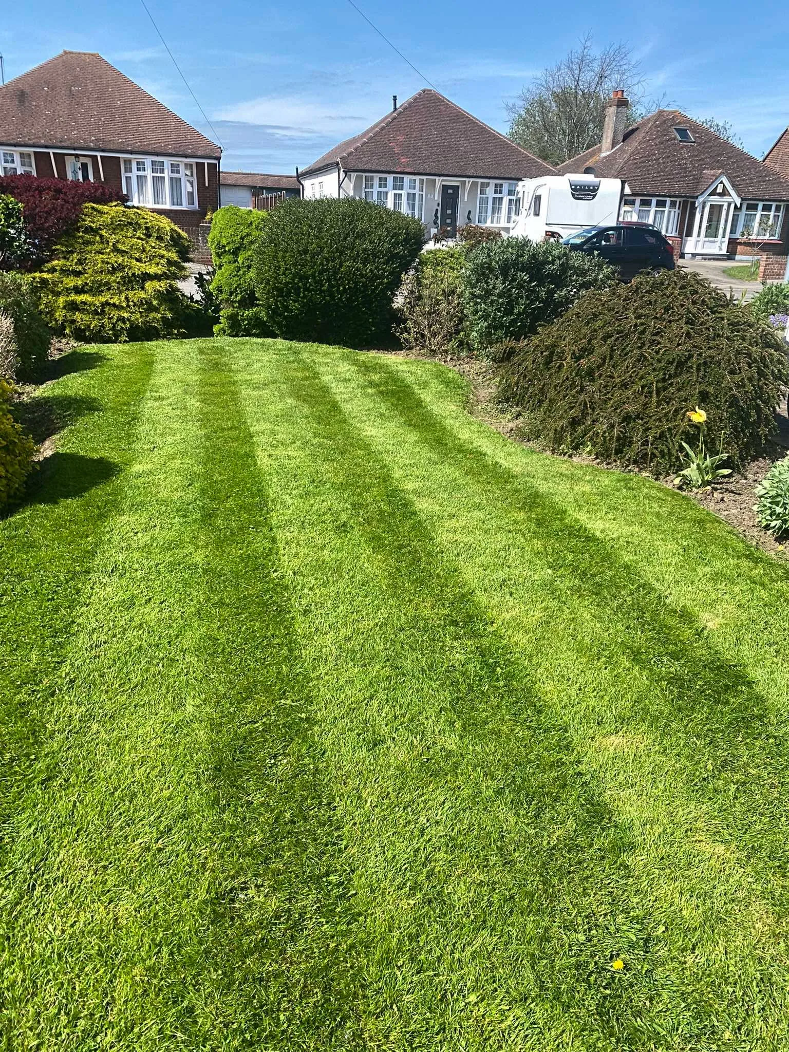 Lawn maintenance