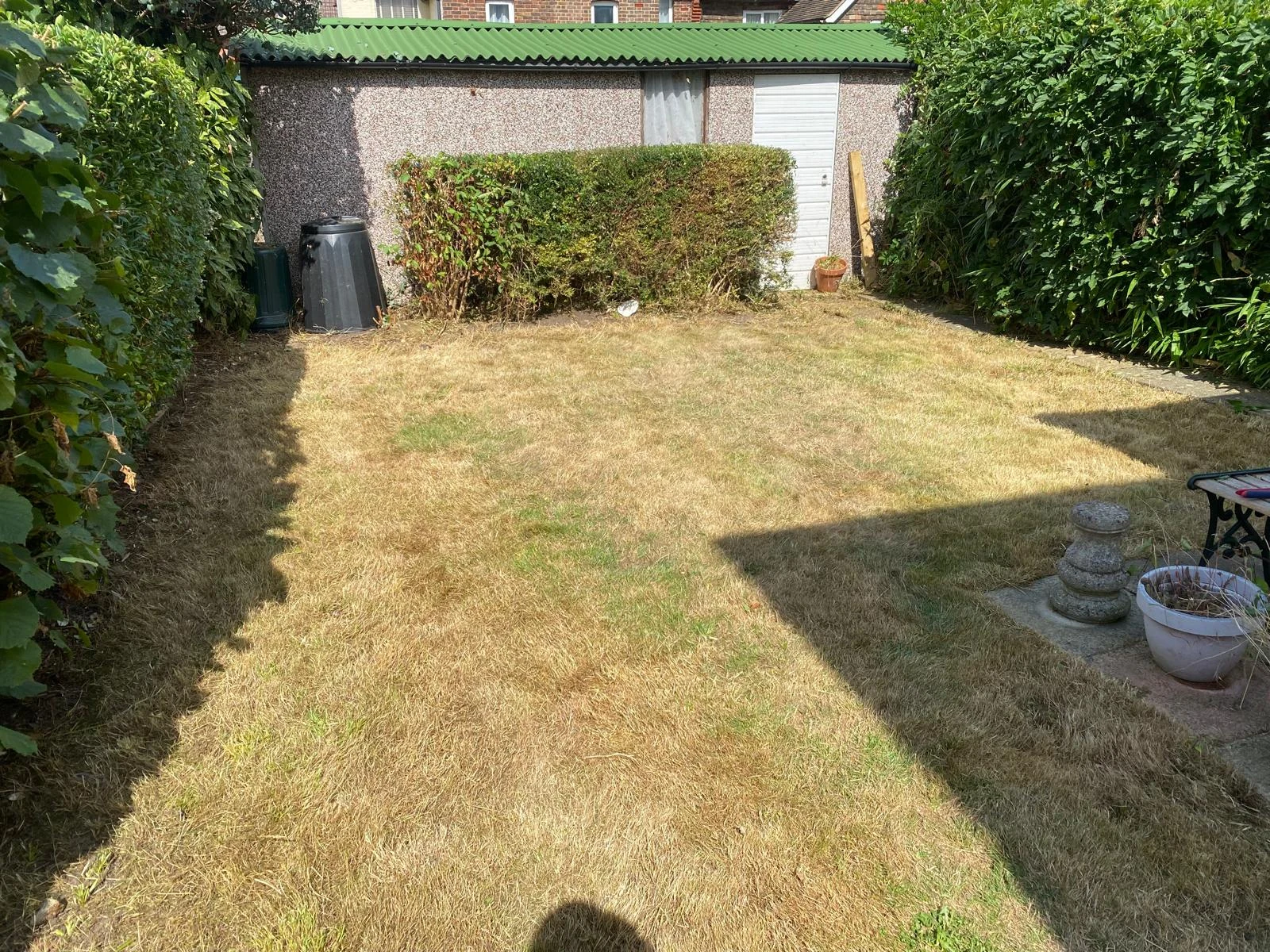 Overgrown Gardens after