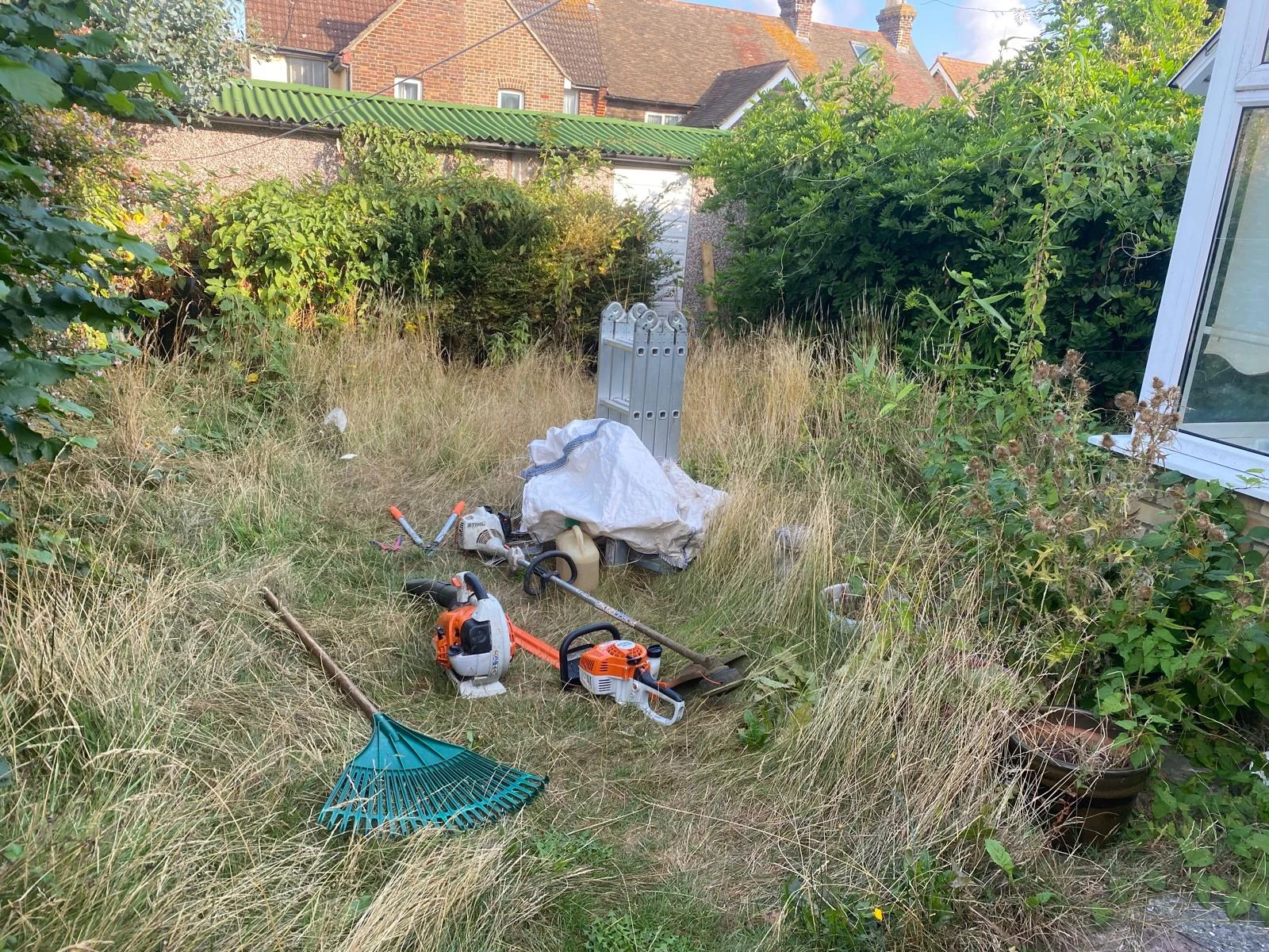 Overgrown Gardens before