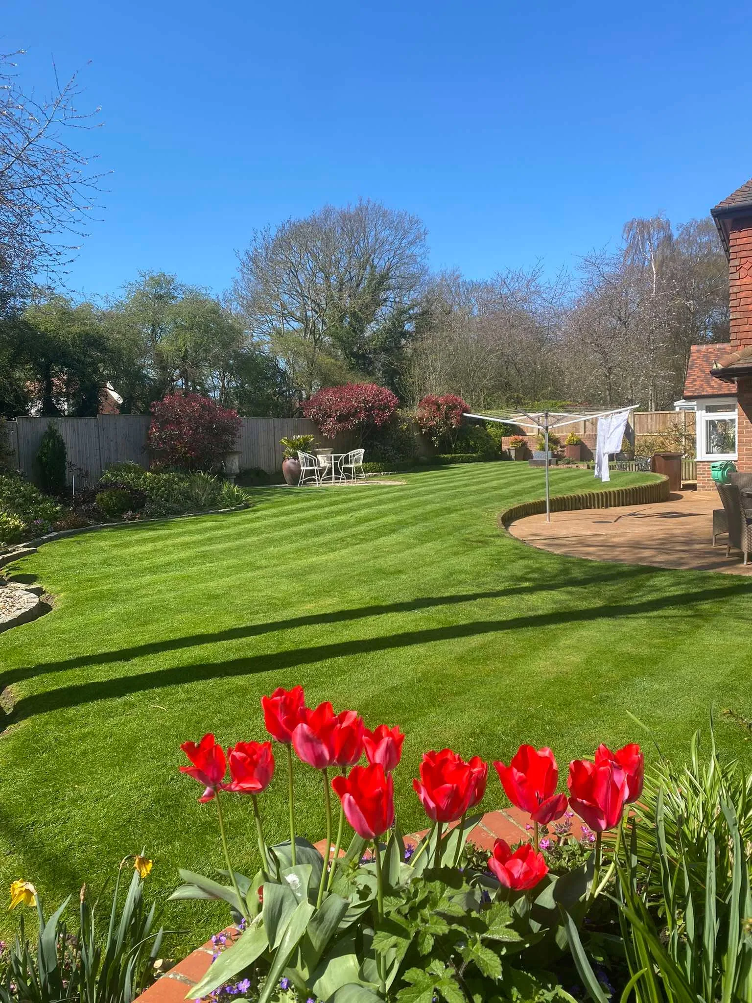 Beautifully maintained garden lawn