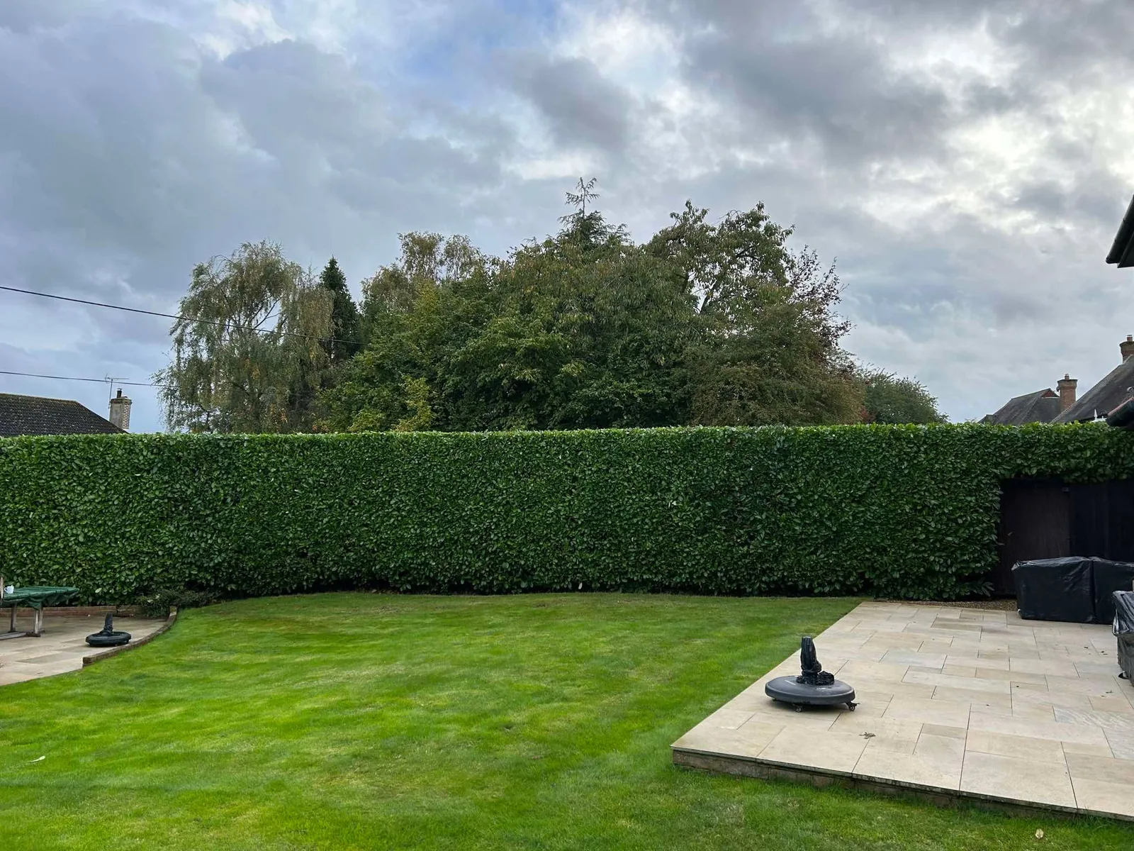 Fresh lawn