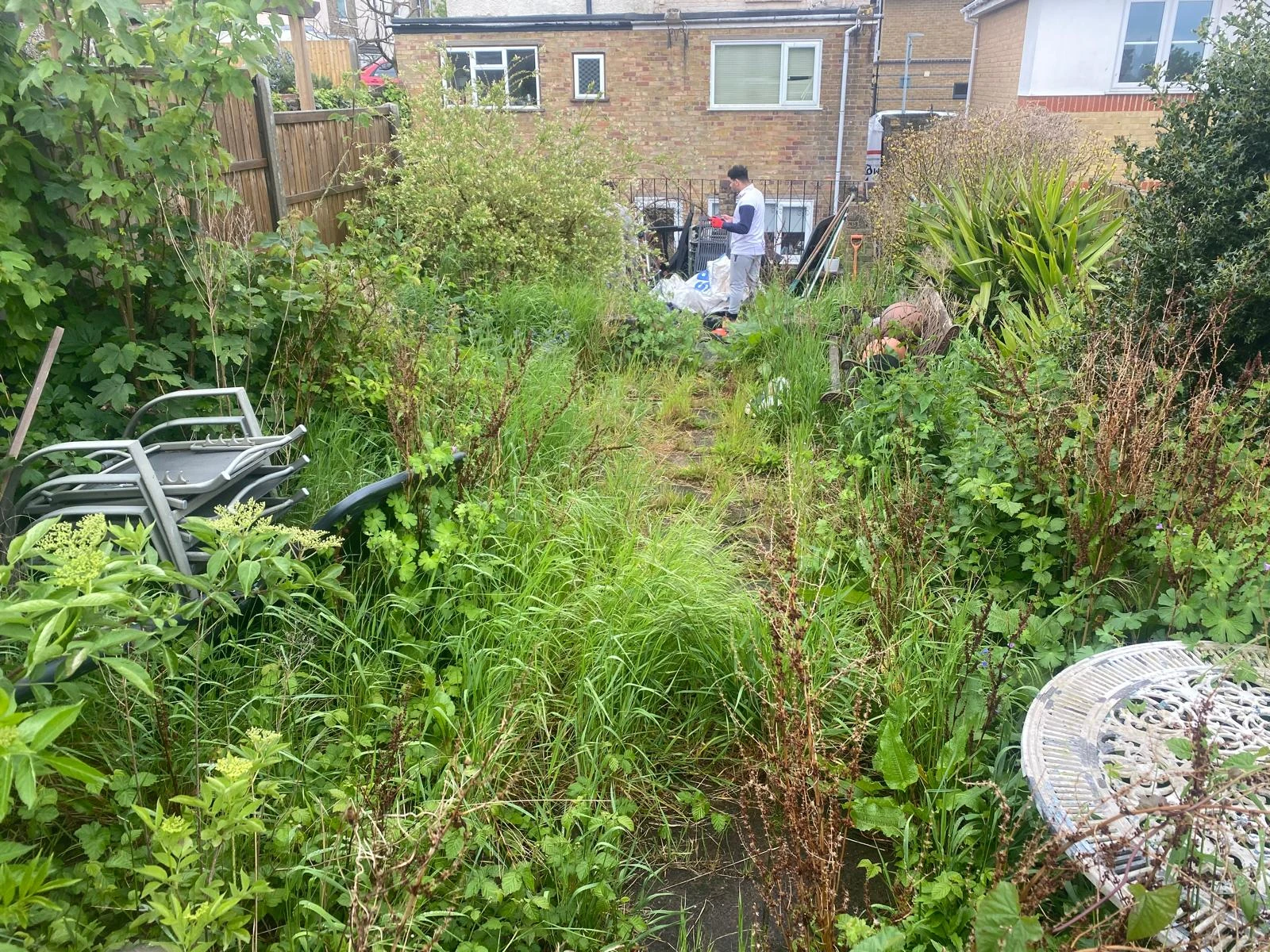 Weeding before